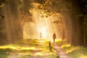 Health benefits of morning walk